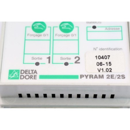Delta Dore Pyram 2E/2S régulateur programmateur chauffage (B1197)